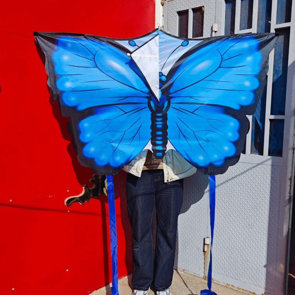 High Quality Easy To Fly Butte - Kite Wind Outdoor 评论和价格